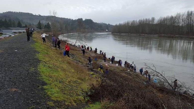 Columbia River smelt have already arrived and fingers are crossed the  run-size will be large enough to host a dip-net fishery in the Cowlitz  River
