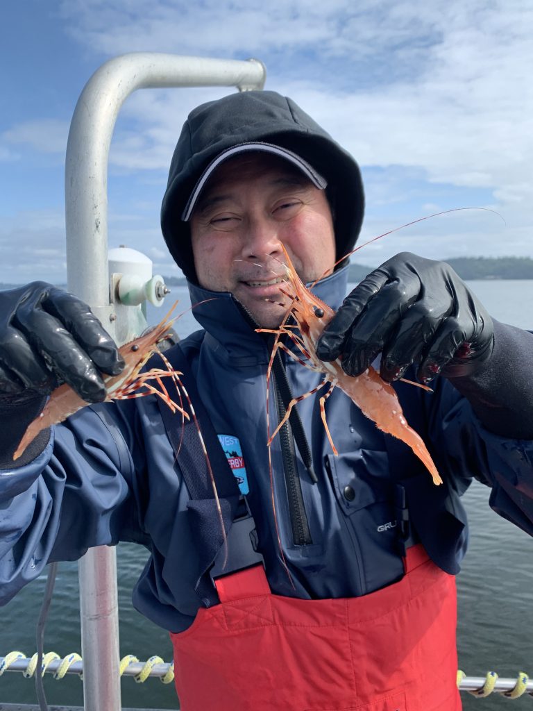 Spot Shrimp Re-Opening June 2 in Marine Areas 8-1, 8-2, and 9