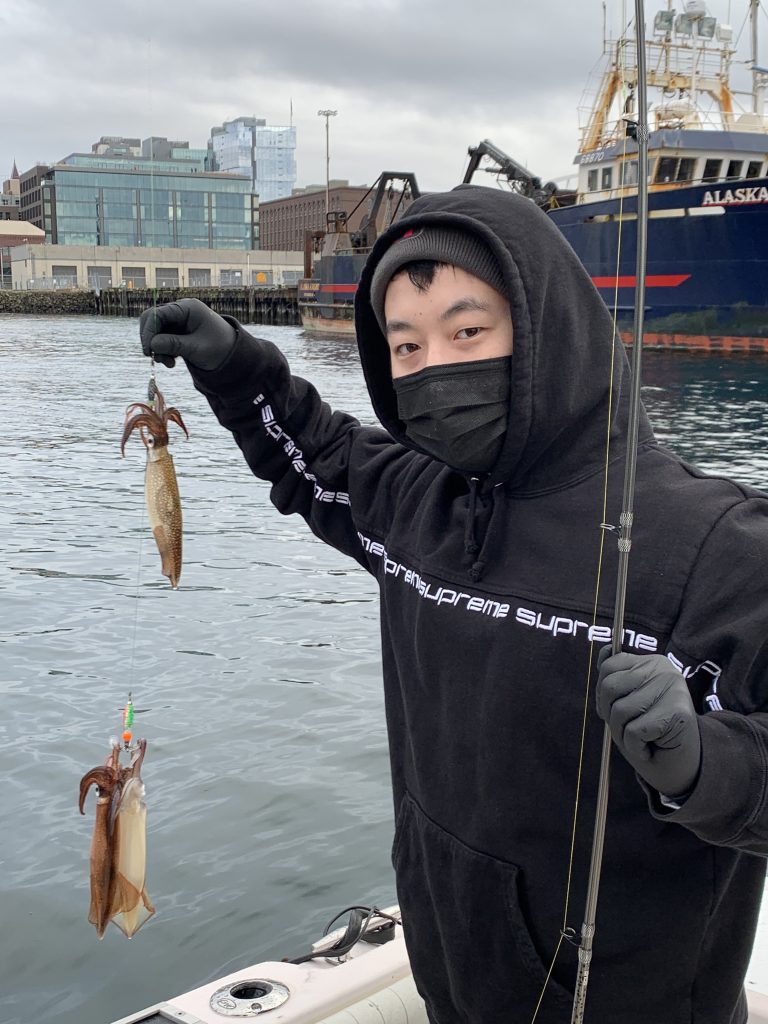 Squid jigging around Puget Sound finally picks up for pier and boat