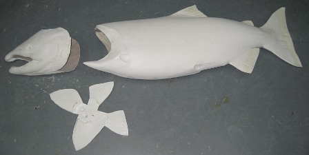 fins, head & body.jpg