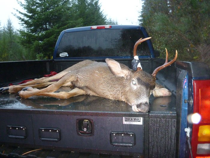 endsley_2013_blacktail.jpg