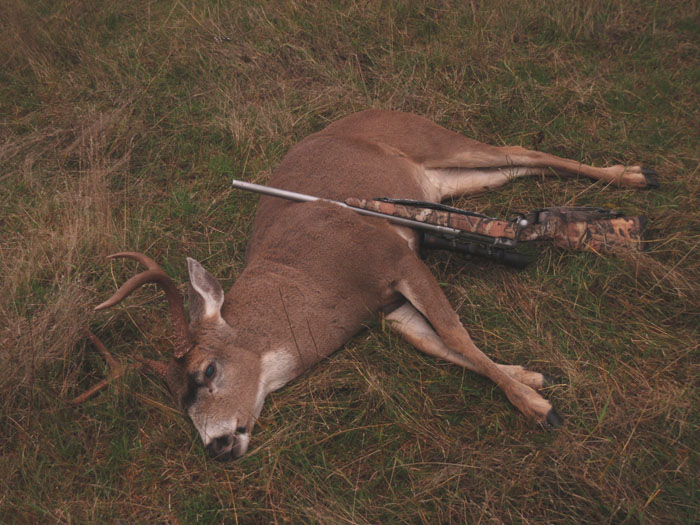 jay_field_2012_blacktail_web.jpg