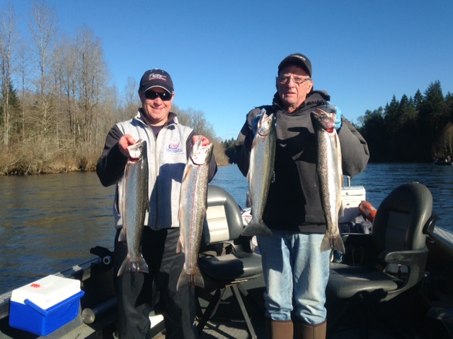 newsletter size cowlitz Steelhead.JPG