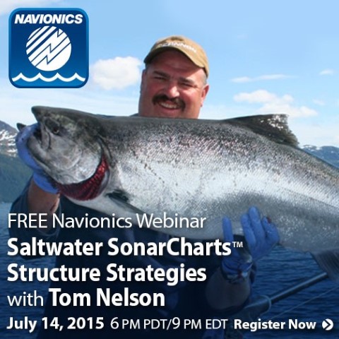 NAV498_Webinar_TomNelson_v3 (Small).jpg