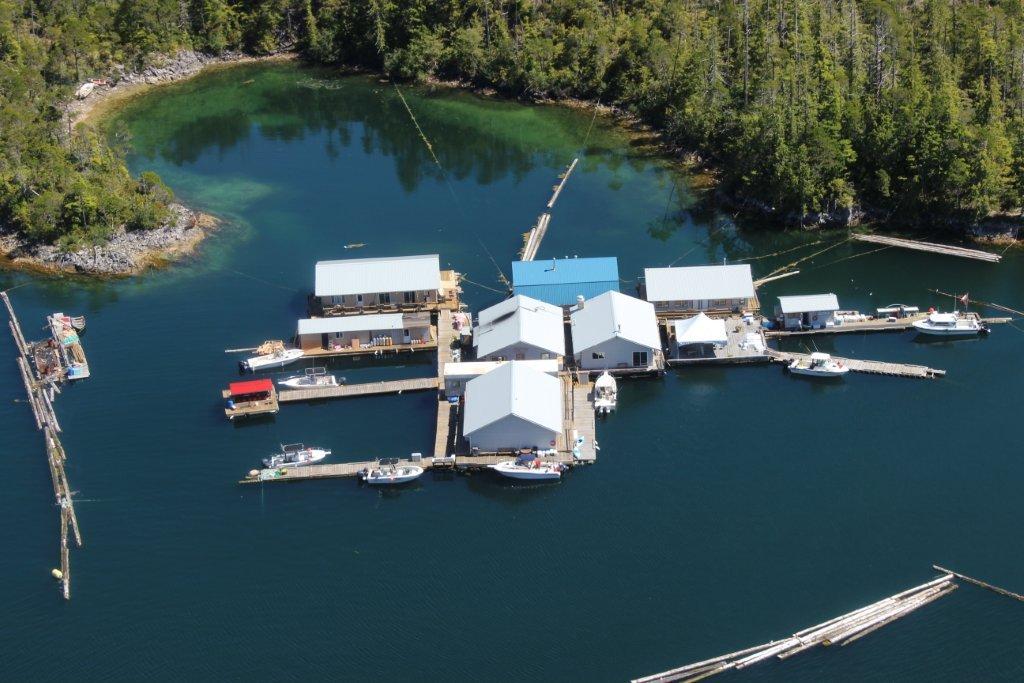 aerial shot of the Lodge.jpg