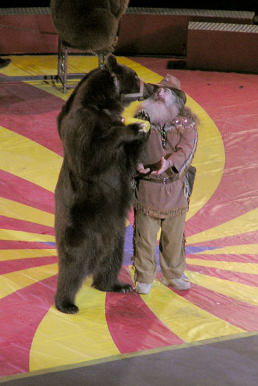 circus_bear.jpg