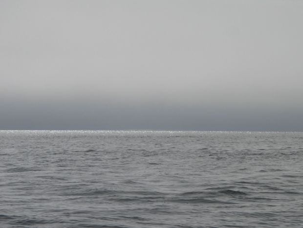 Sunline in fog.jpg