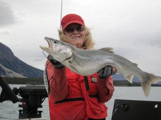 Atlin Lake -Lake Trout el.jpg