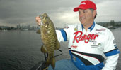 Bass