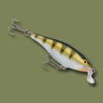 Shallow Shad Rap