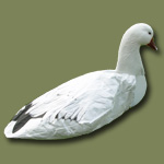 Sillosock Decoys