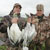 Snow Geese