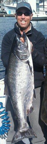 a41lbs