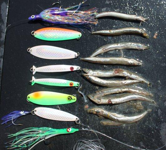 Acandle Lure
