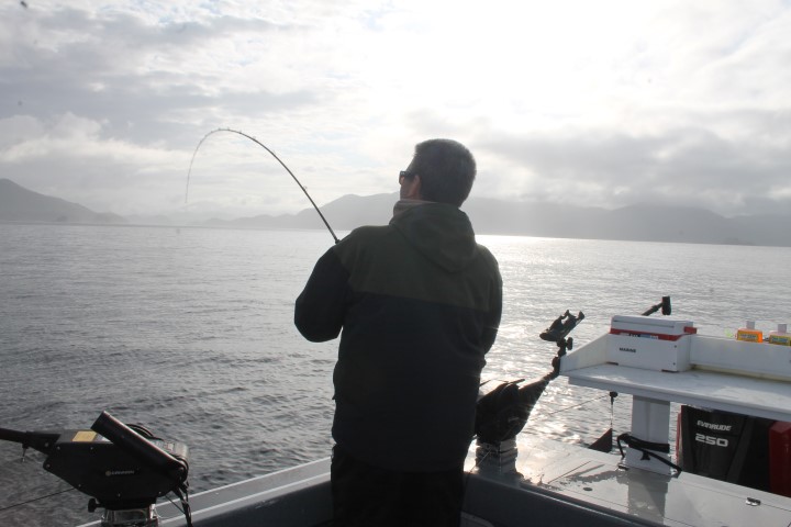 IMG_8570 (Small)