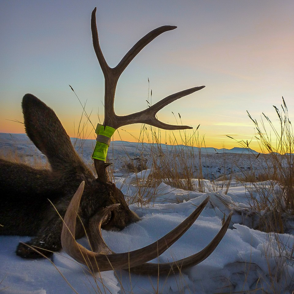 A Montana Late Season Sunset-Rob Endsley