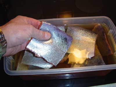 fish_brine