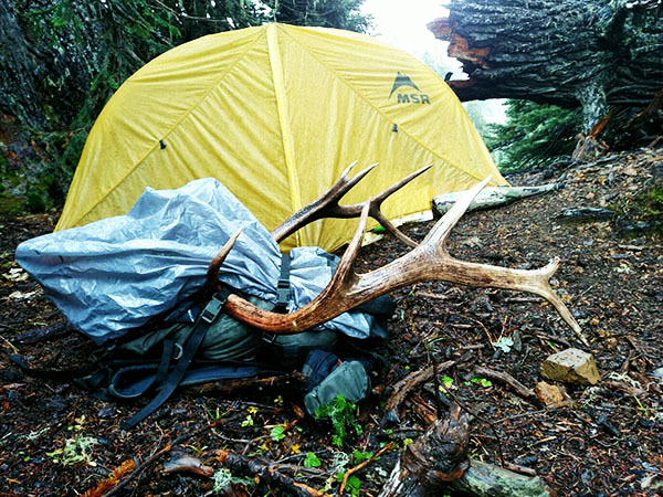 msr_tent_elk_web